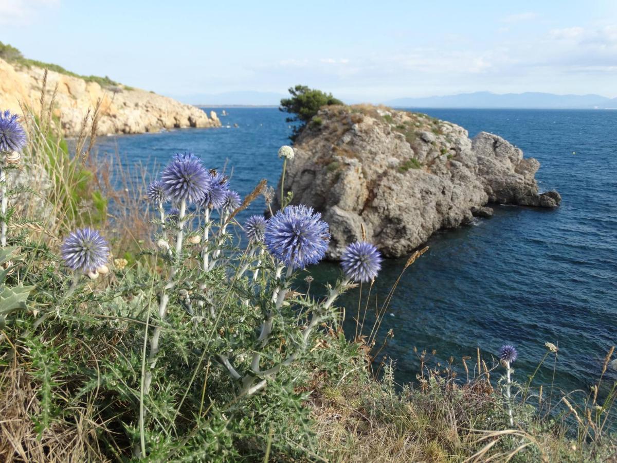 Apartamento Punta Montgo Port De Rei L' Escala 외부 사진